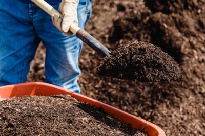 How to Empty a Composting Toilet